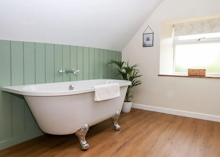 Nempnett בריסטול